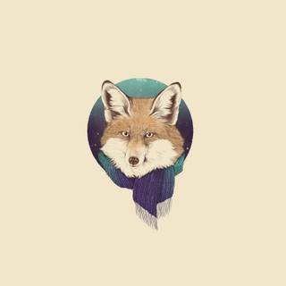 Winter foxes 4k wallpaper