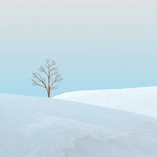 Pastel winter iPad wallpaper