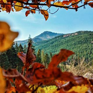 Mountain view autumn wallpaper