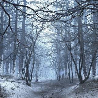 3840x1080 winter scene wallpaper