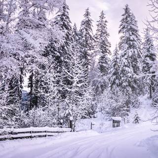 3840x1080 winter scene wallpaper