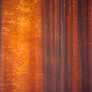 iPhone autumn sunset wallpaper