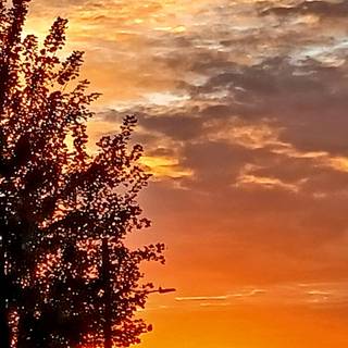 iPhone autumn sunset wallpaper