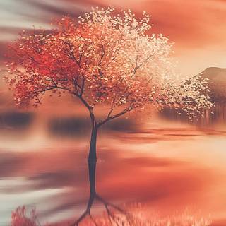 iPhone autumn sunset wallpaper