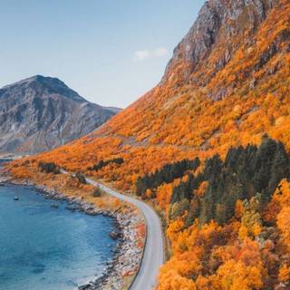 Mountain view autumn wallpaper