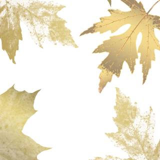 Random autumn wallpaper