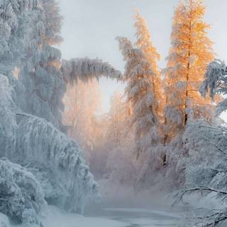 Pastel winter iPad wallpaper