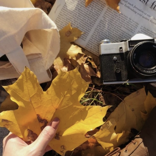 Random autumn wallpaper