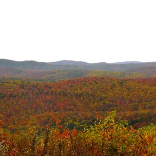 Mountain view autumn wallpaper