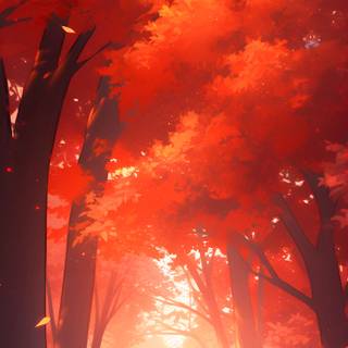 iPhone autumn sunset wallpaper