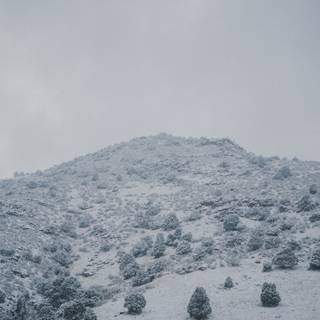 Pastel winter iPad wallpaper