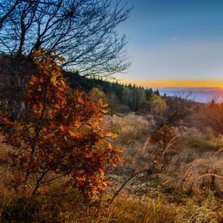 Random autumn wallpaper