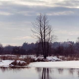 3840x1080 winter scene wallpaper
