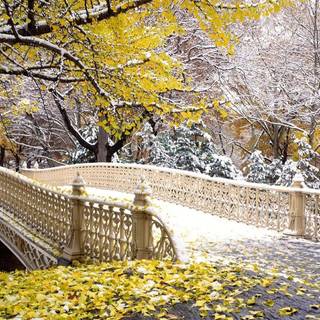 Winter New York City laptop wallpaper