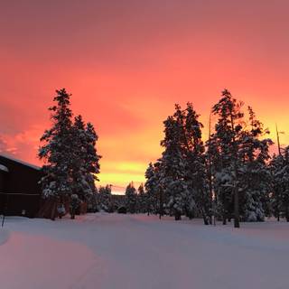 Post card winter wallpaper