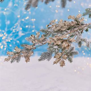 Pastel winter iPad wallpaper