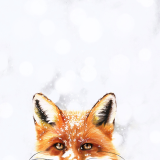 Fox winter phone wallpaper