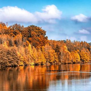 iPhone lake wallpaper