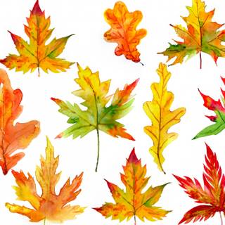 Thanksgiving ultrawide wallpaper