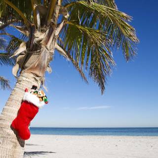 Palm tree Christmas wallpaper