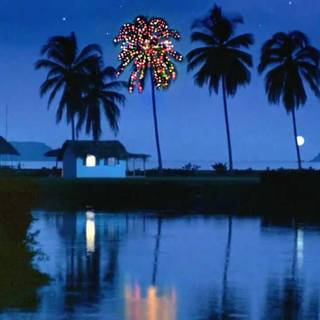 Palm tree Christmas wallpaper