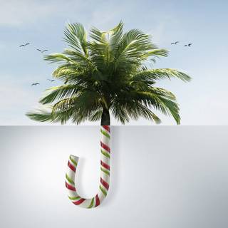 Palm tree Christmas wallpaper