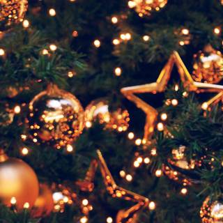 Christmas iPhone XR wallpaper