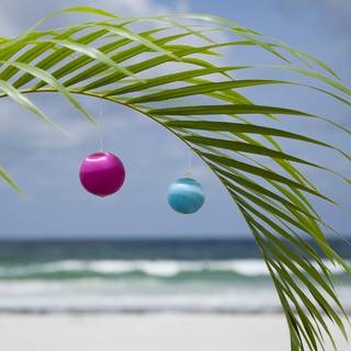 Palm tree Christmas wallpaper