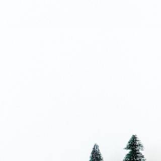 Christmas Instagram wallpaper