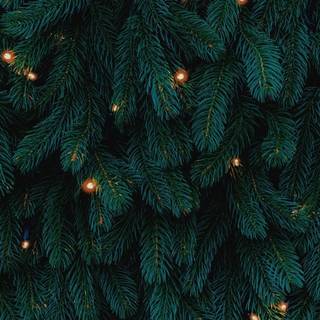Christmas iPhone XR wallpaper