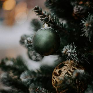 Christmas iPhone XR wallpaper