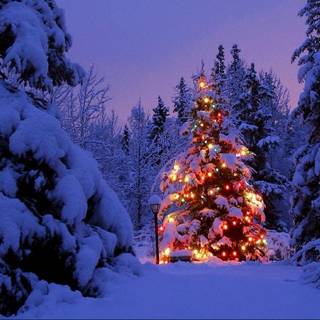 1366x768 Christmas wallpaper