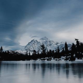 Winter forest Macbook wallpaper