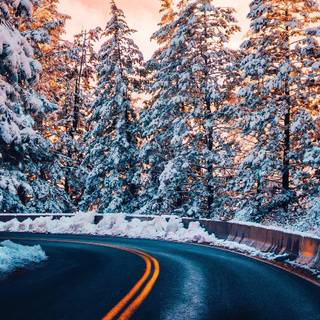 Winter forest Macbook wallpaper