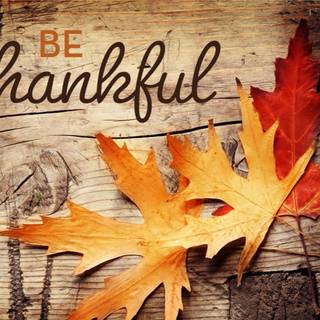 Thanksgiving poster wallpaper