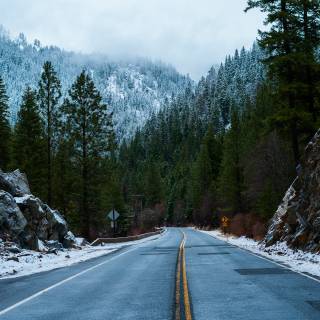 Winter forest Macbook wallpaper