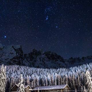 Winter forest Macbook wallpaper