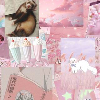 Cute ferrets wallpaper