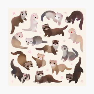 Cute ferrets wallpaper