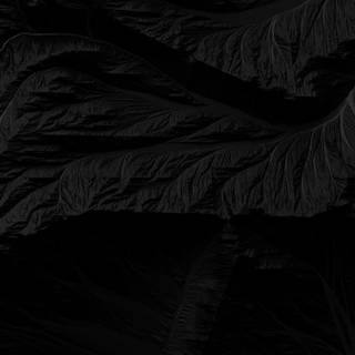 Full black 4k iPhone wallpaper