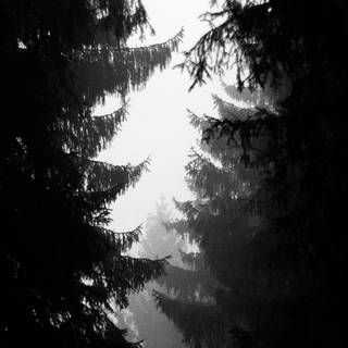 Full black 4k iPhone wallpaper