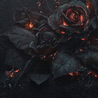 Full black 4k iPhone wallpaper