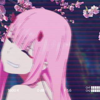 Desktop PFP wallpaper