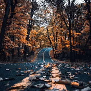 Street view autumn iPhone wallpaper