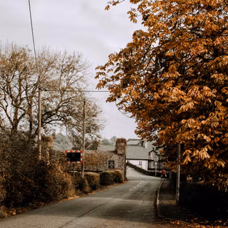 Street view autumn iPhone wallpaper