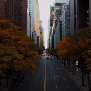 Street view autumn iPhone wallpaper