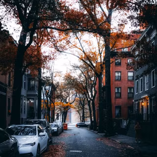 Street view autumn iPhone wallpaper