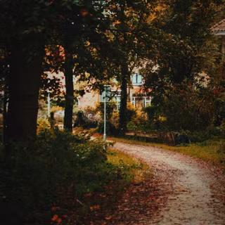 Street view autumn iPhone wallpaper