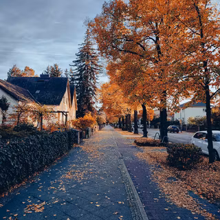 Street view autumn iPhone wallpaper