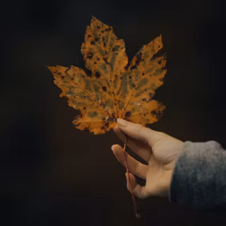 Switzerland autumn iPhone wallpaper